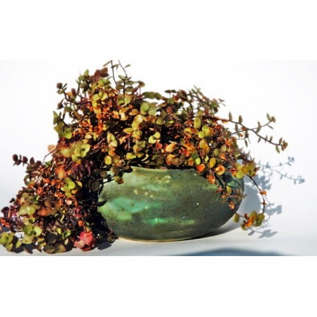 doniczka-zielona-kamien (2).jpg