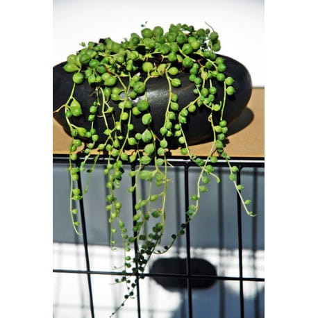 doniczka-czarny-kamien (1).jpg